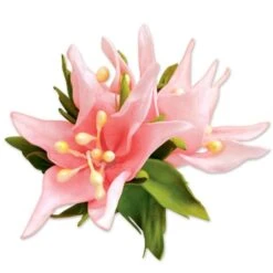 Cactus Fleur Tissu Fleur Broche Diy Kit, Tissu Fleur Broche, Mousse Diy Bijoux, Artisanat Fourniture -Promos Creavea Boutique cactus fleur tissu fleur broche diy kit tissu fleur broche mousse diy bijoux artisanat fourniture p 3