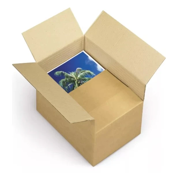 Carton D'emballage 25 X 15 X 14 Cm - Simple Cannelure 2 Carton D'emballage 25 X 15 X 14 Cm - Simple Cannelure – Image 2