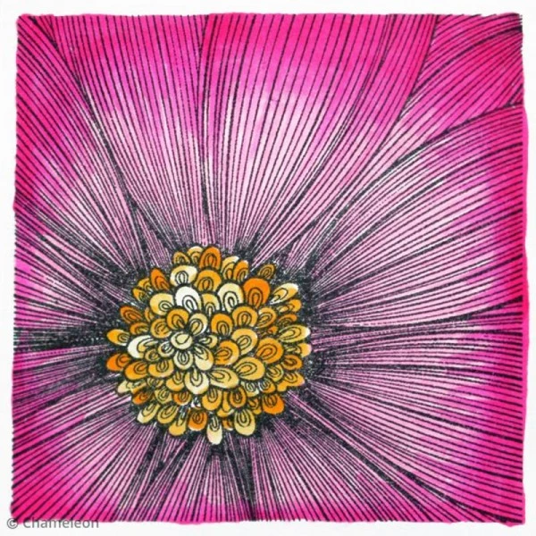 Coffret Marqueurs Chameleon - Floral Tones - 5 Feutres 3 Coffret Marqueurs Chameleon - Floral Tones - 5 Feutres – Image 3