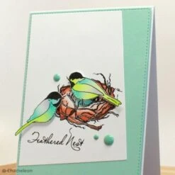 Coffret Marqueurs Chameleon - Nature Tones - 5 Feutres 9 Coffret Marqueurs Chameleon - Nature Tones - 5 Feutres -Promos Creavea Boutique coffret marqueurs chameleon nature tones 5 feutres p 5