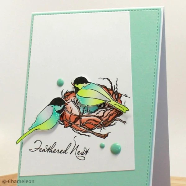 Coffret Marqueurs Chameleon - Nature Tones - 5 Feutres 5 Coffret Marqueurs Chameleon - Nature Tones - 5 Feutres – Image 5