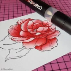 Coffret Marqueurs Chameleon - Warm Tones - 5 Feutres 7 Coffret Marqueurs Chameleon - Warm Tones - 5 Feutres -Promos Creavea Boutique coffret marqueurs chameleon warm tones 5 feutres p 4