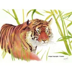 Coffret Marqueurs Graph'it Brush & Extra Fine - Essential - 36 Pcs -Promos Creavea Boutique coffret marqueurs graphit brush and extra fine essential 36 pcs p 6