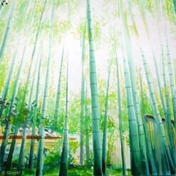 Feutre à Alcool Graph'it -Promos Creavea Boutique feutre a alcool graphit p 4