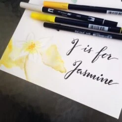 Tombow® Feutre Tombow ABT Dual Brush ABT-173 Saule Vert 6 Tombow® Feutre Tombow ABT Dual Brush ABT-173 Saule Vert -Promos Creavea Boutique feutre tombow abt dual brush abt 173 saule vert p 3