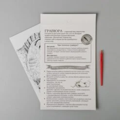 Gravure "Sleeping Kitten" A4, Scratch Art DIY Kit, Argent Métallique Effet, Gravure Artisanat Kit, A 7 Gravure "Sleeping Kitten" A4, Scratch Art DIY Kit, Argent Métallique Effet, Gravure Artisanat Kit, A -Promos Creavea Boutique gravure sleeping kitten a4 scratch art diy kit argent metallique effet gravure artisanat kit a p 4