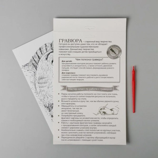 Gravure "Sleeping Kitten" A4, Scratch Art DIY Kit, Argent Métallique Effet, Gravure Artisanat Kit, A 4 Gravure "Sleeping Kitten" A4, Scratch Art DIY Kit, Argent Métallique Effet, Gravure Artisanat Kit, A – Image 4