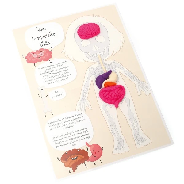 Kit Créatif Pâte à Modeler - Je Découvre Le Corps Humain 2 Kit Créatif Pâte à Modeler - Je Découvre Le Corps Humain – Image 2