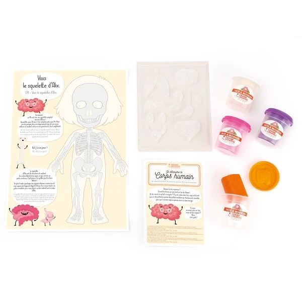 Kit Créatif Pâte à Modeler - Je Découvre Le Corps Humain 3 Kit Créatif Pâte à Modeler - Je Découvre Le Corps Humain – Image 3