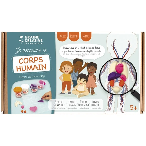 Kit Créatif Pâte à Modeler - Je Découvre Le Corps Humain 5 Kit Créatif Pâte à Modeler - Je Découvre Le Corps Humain – Image 5