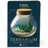 Kit Fimo - Terrarium - Ø 15 Cm