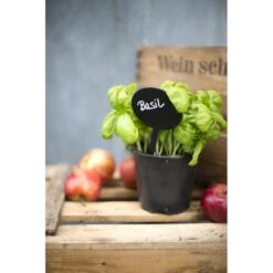 SecurIT® Lot De 5 Ardoises Silhouette - Bulle - Feutre + Craie - Securit -Promos Creavea Boutique lot de 5 ardoises silhouette bulle feutre craie securit p 4