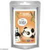 Mini Kit Figurine Fimo - Panda