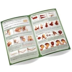 Mini Kit Fimo Les Dieux De L'Olympe - Artémis 8 Mini Kit Fimo Les Dieux De L'Olympe - Artémis -Promos Creavea Boutique mini kit fimo les dieux de lolympe artemis p 3