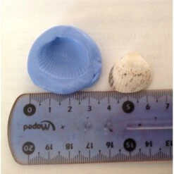 Moule Silicone Coquillage 2cm