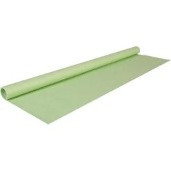 CLAIREFONTAINE Papier Cadeau "kraft" - 3 M - Vert Bourgeon