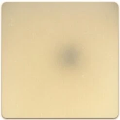 Pâte Sculpey Premo Accent Blanc Tranlucide - 57g -Promos Creavea Boutique pate sculpey premo accent blanc tranlucide 57g p 3