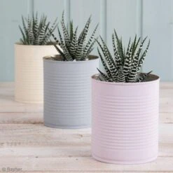 Peintures Chalky Finish Rayher - 118 Ml -Promos Creavea Boutique peintures chalky finish rayher 118 ml p 3