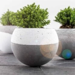 Peintures Chalky Finish Rayher - 118 Ml -Promos Creavea Boutique peintures chalky finish rayher 118 ml p 4