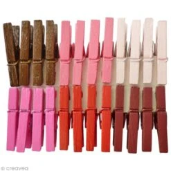 Pinces à Linge 2,5 Cm - Couleurs Amour - 24 Pcs