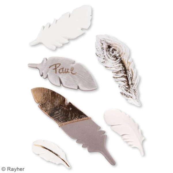 Plaque Avec Moules Multi-usages - Plume - 6 Formes 5 Plaque Avec Moules Multi-usages - Plume - 6 Formes – Image 5