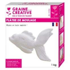 Plâtre De Moulage X 1 Kg