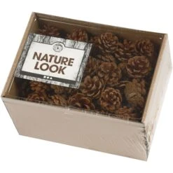 Creativ Company Pommes De Pin Décoratives - 40 Mm - 500 G -Promos Creavea Boutique pommes de pin decoratives 40 mm 500 g p 2