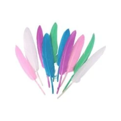Sachet De 120 Plumes Indiennes Assortis Pastel - Ctop